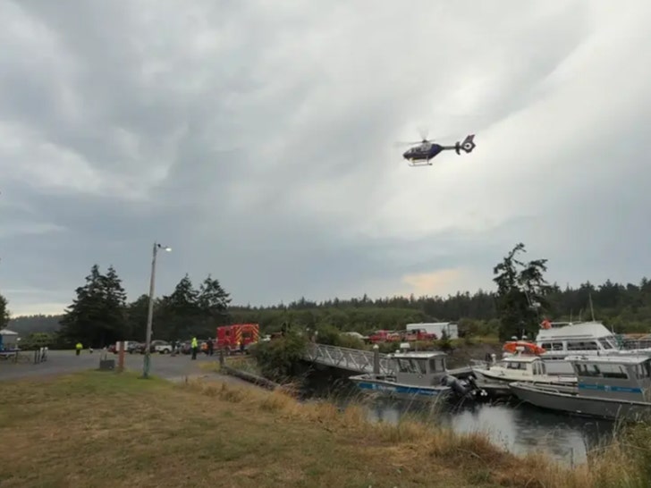 sub-plane-crash-Orcas-Island-Fire-and-Rescue-1-