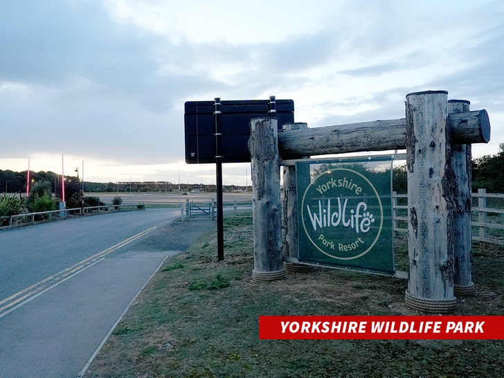 Yorkshire-Wildlife-Park-getty-1