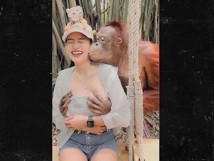 Girl And Monkey Big Boob S Xxx - Orangutan Grabs Woman's Breasts at Zoo, Kisses Her on Video