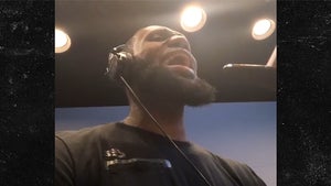 LeBron James Does Voice Over Work for 'Smallfoot' Movie