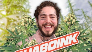 Post Malone Getting into Weed Business, Launching Company Called Shaboink