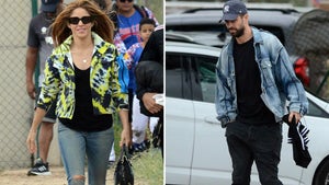 Shakira, Gerard Piqué Sit Apart From Each Other at Son's Baseball Game
