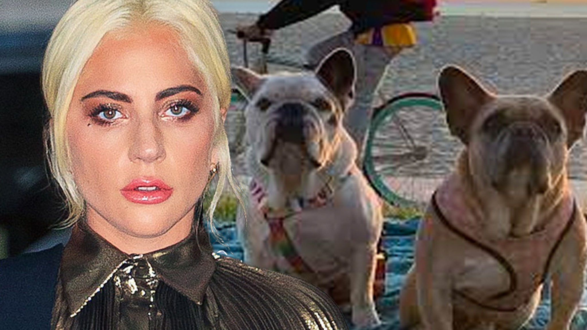 Lady Gaga Dog Walker Shooter Sentenced to 21 Years