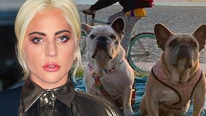 lady gaga and dogs