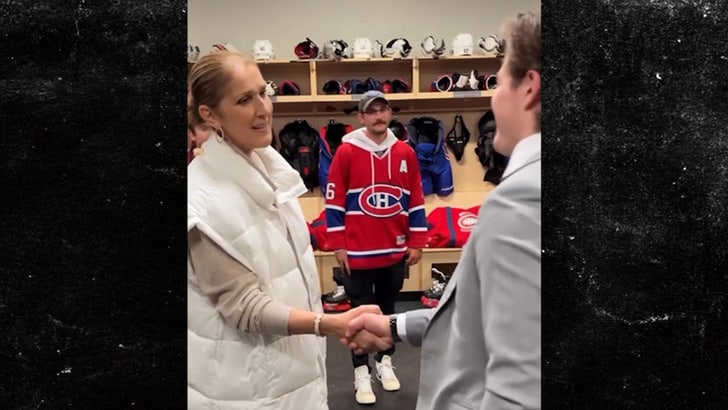 Celine Dion Makes First Appearance in 3 1/2 Years at Las Vegas Hockey Game