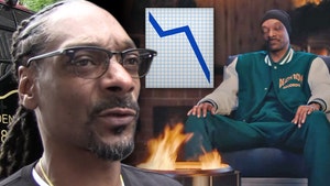 Snoop Dogg 'Smokeless' Ad Flops, Company Swaps CEOs