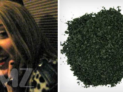 1209_miley_salvia_Reg_01