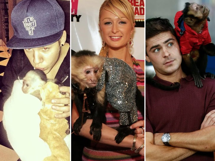 Famous People With Primates