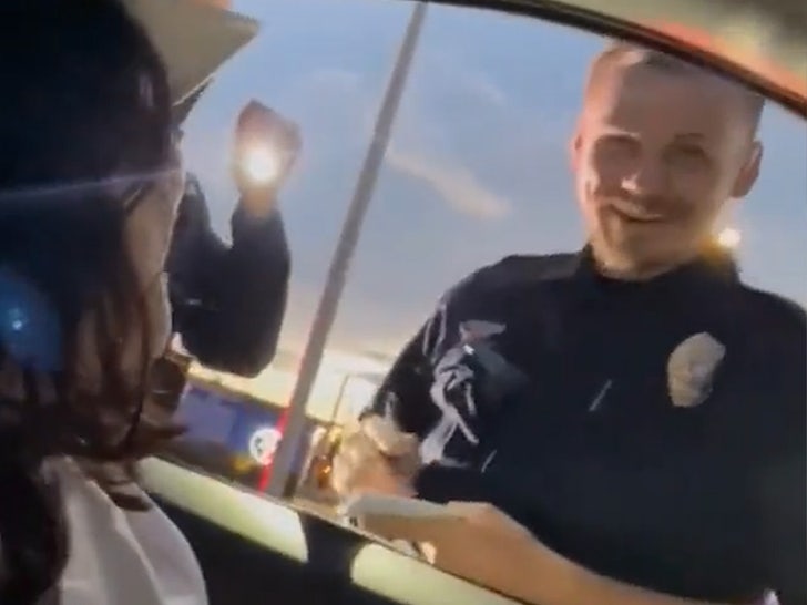 Anchorage PD, Polislerin Sürücünün 'Beyaz Ayrıcalık Kartına' İhlal Ederek Güldüğünü Söyledi