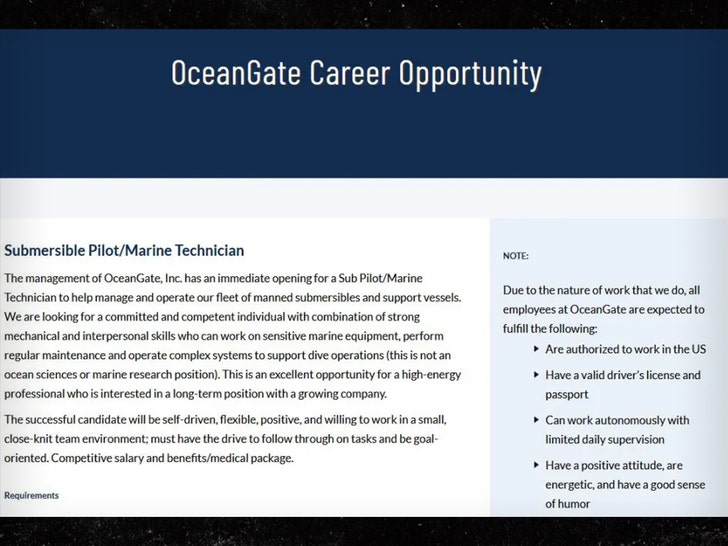 OceanGate Career Opportunity