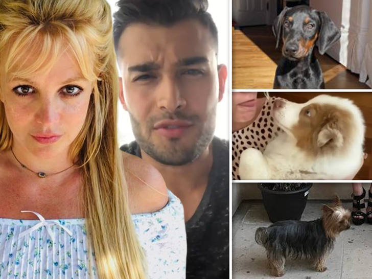 britney same and dogs