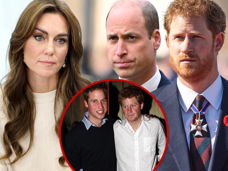 Kate Middleton's Cancer News Chance For Harry & William To Make Up