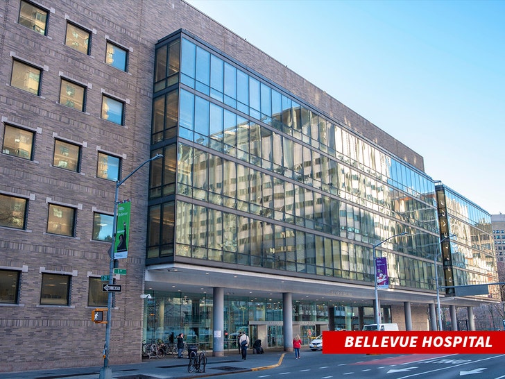 Bellevue Hospital alamy 1