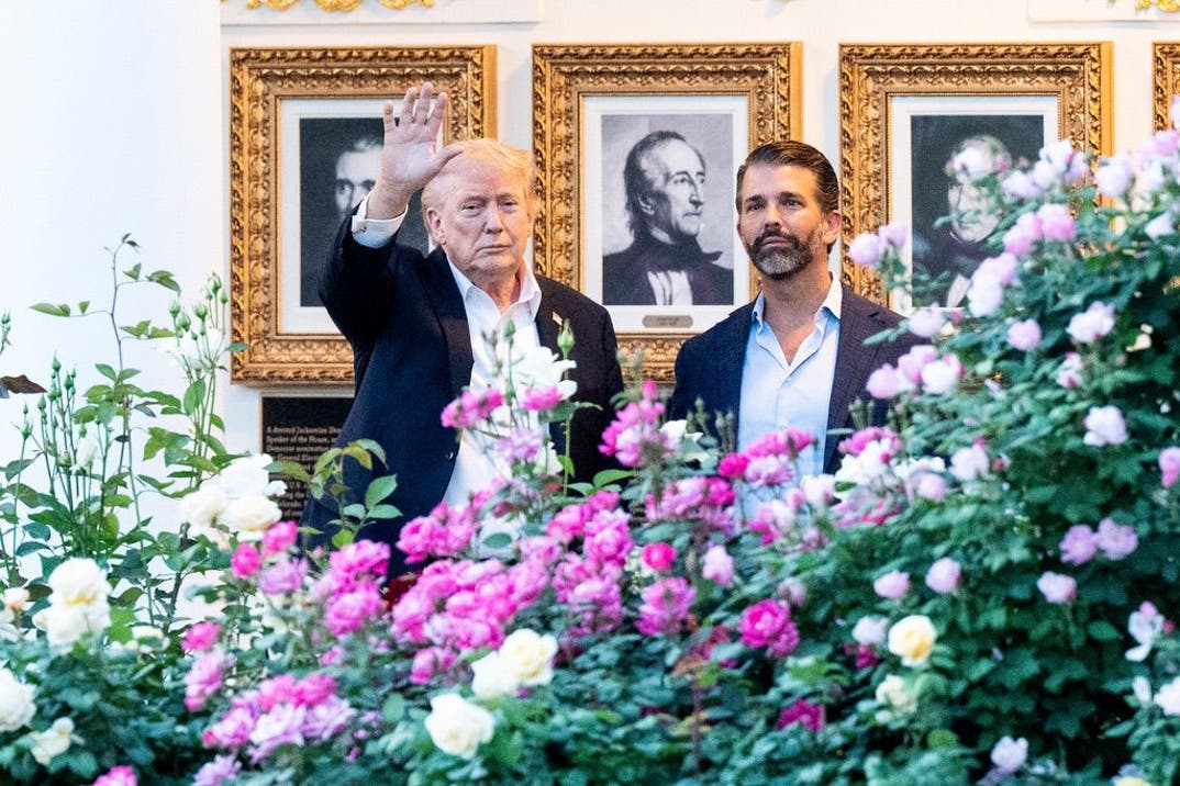 Donald Trump And Donald Trump Jr Together 7