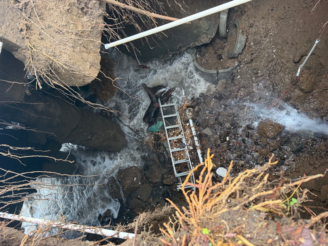 Nicolas Cage Sinkhole 1