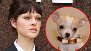 Nicola Peltz dog passed away