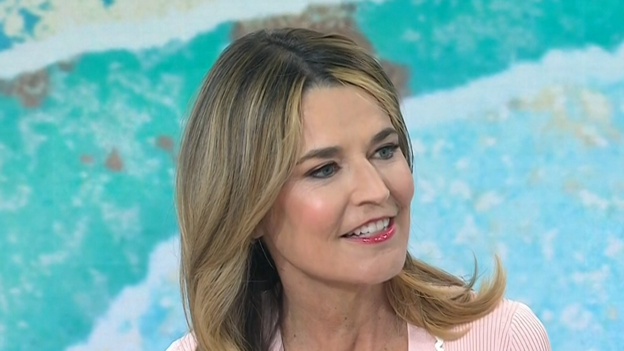 Savannah Guthrie Discusses Book About Finding Joy on 'Today' Show