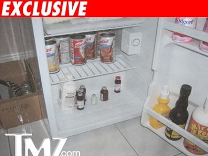 Contents of fridge