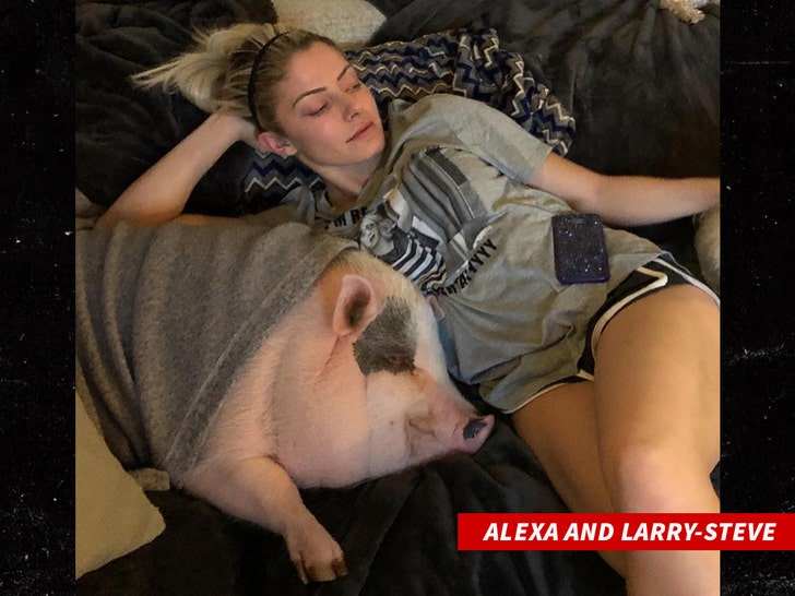 Alexa And Larry-Steve