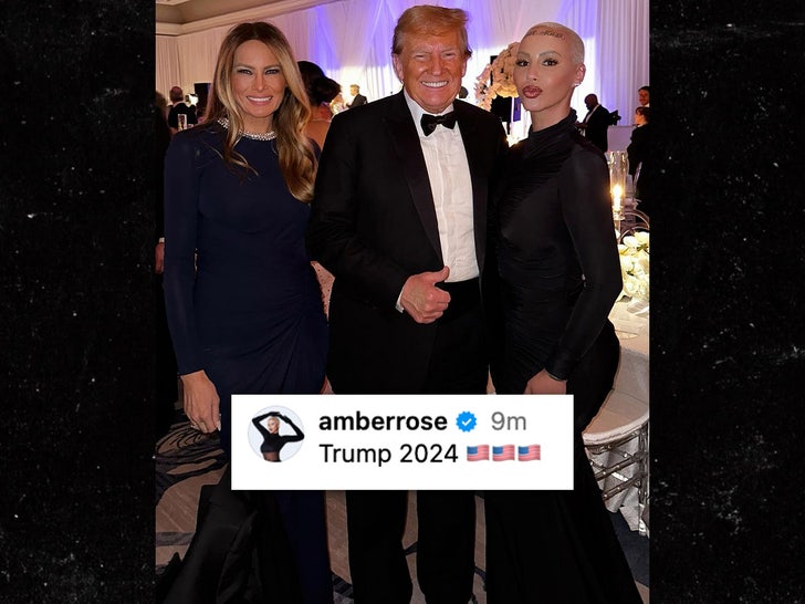  Backlash Hits Amber Rose Over Endorsement of Donald Trump for President