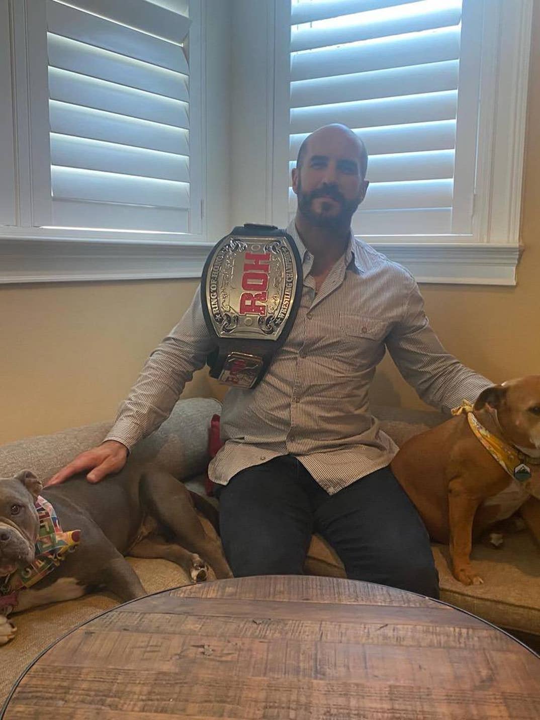 Sheamus Dog Betty 11