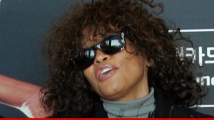 Whitney Houston's Death -- Who's to Blame?