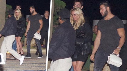 britney-spears-purse