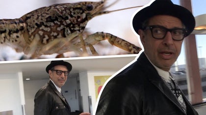 goldblum