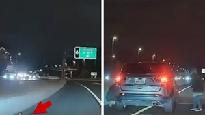 Runaway Dog Makes A Dash For It Down Highway, Rescue On Camera