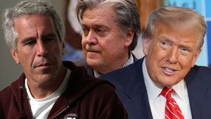 epstien donald trump steve bannon getty comp