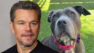 matt damon and dogs getty insta 1
