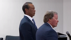 090226 tiger hearing primary