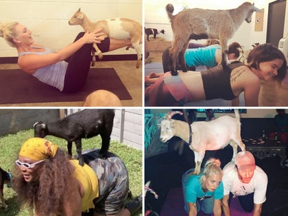 0620_goat_yoga_primary