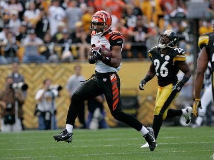 tj houshmandzadeh NFL photos 6