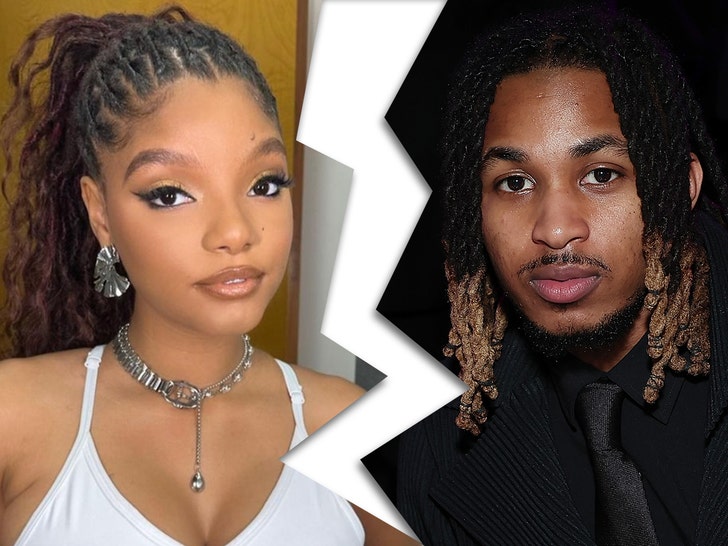 Halle Bailey and DDG Split