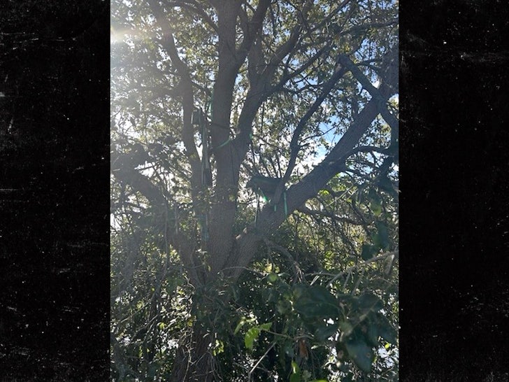 Stand di caccia agli alberi dei servizi segreti dell'FBI