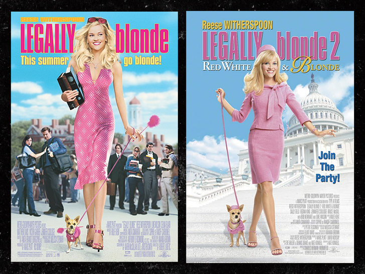 poster legalmente bionda 1 2 MGM Distribution Co.