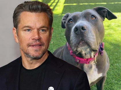matt damon and dogs getty insta 1