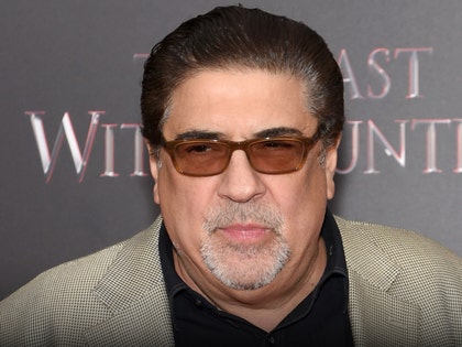 gallery-launch-vincent-pastore-getty-1