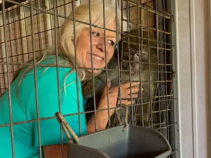 brenda deutsch - monkey lady 3
