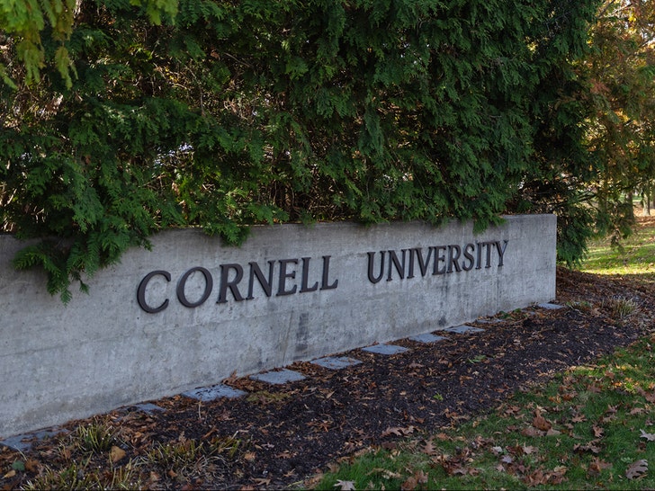 cornell university getty 12