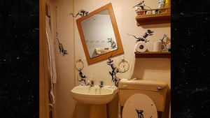 Banksy Shows Off Work-From-Home Artwork, Rats in the Bathroom