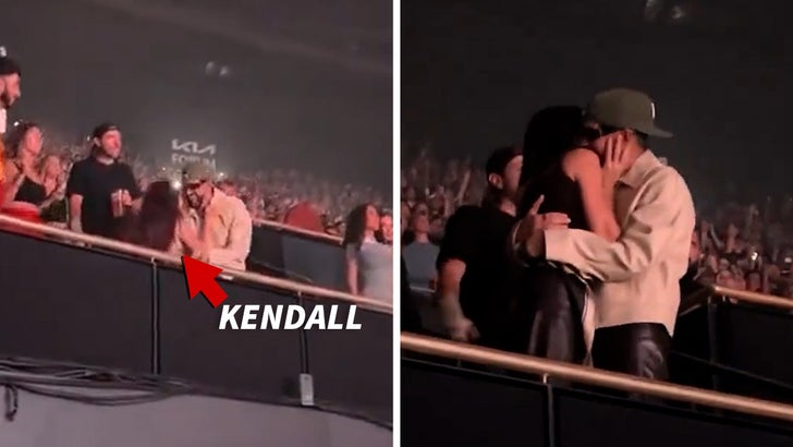 Kendall Jenner and Bad Bunny Make Out at Drake Concert