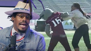 cam newton fight with mascot 1