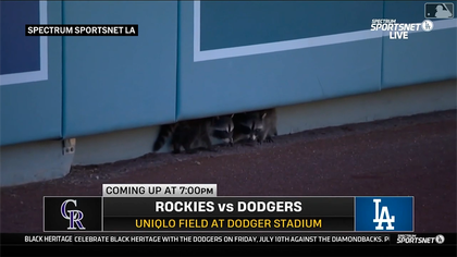 070826_dodger_stadium_raccoons_kal