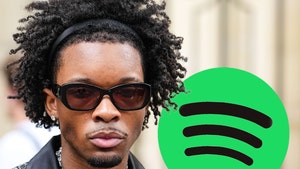 dv4d spotify getty