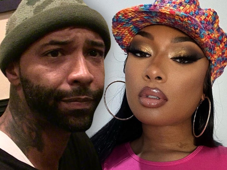 joe budden megan thee stallion