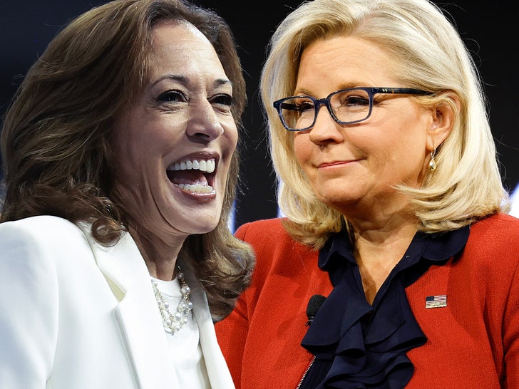 Liz Cheney Says She’s Voting For Kamala Harris