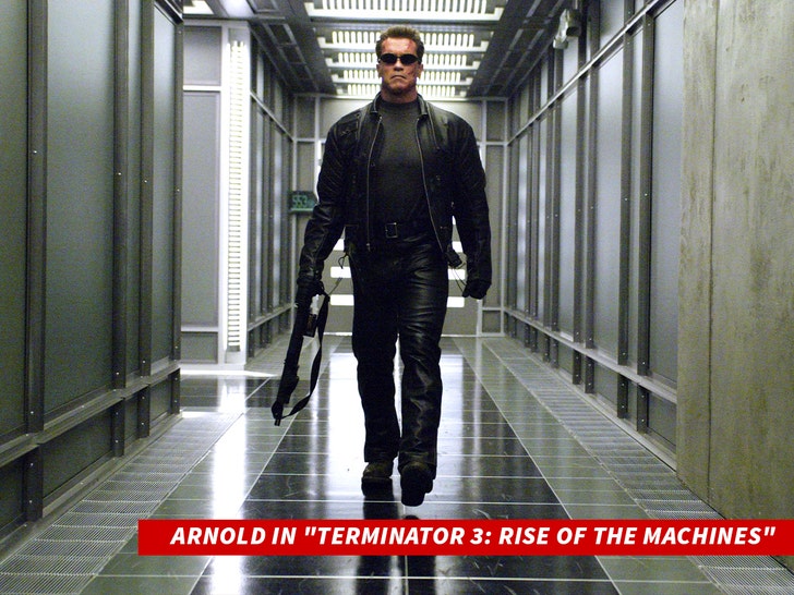 arnold schwarzenegger terminator alamy 1