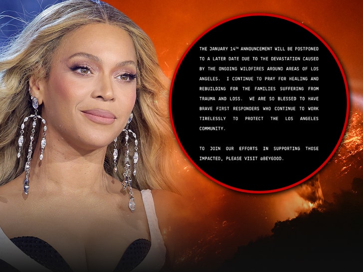 beyonce la fires statement